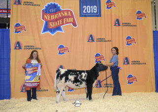 state fair photo